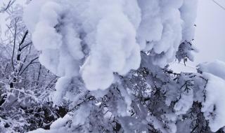 河南多地突降大雪预示着什么